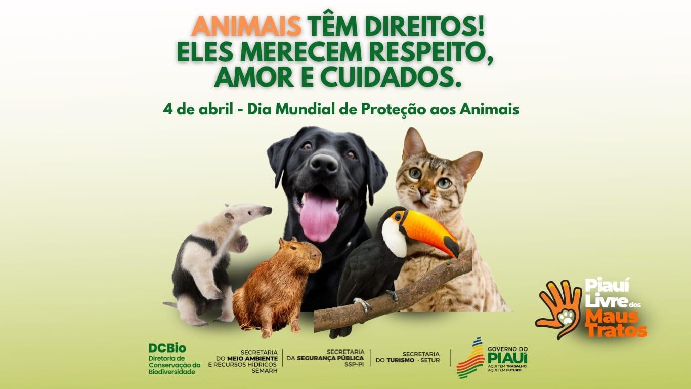 Campanha Piauí Livre de Maus-Tratos