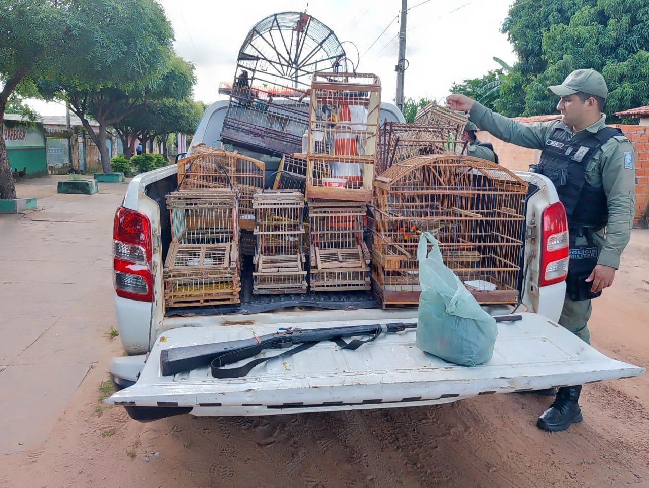 Suspeito não possuía licença para criação das aves