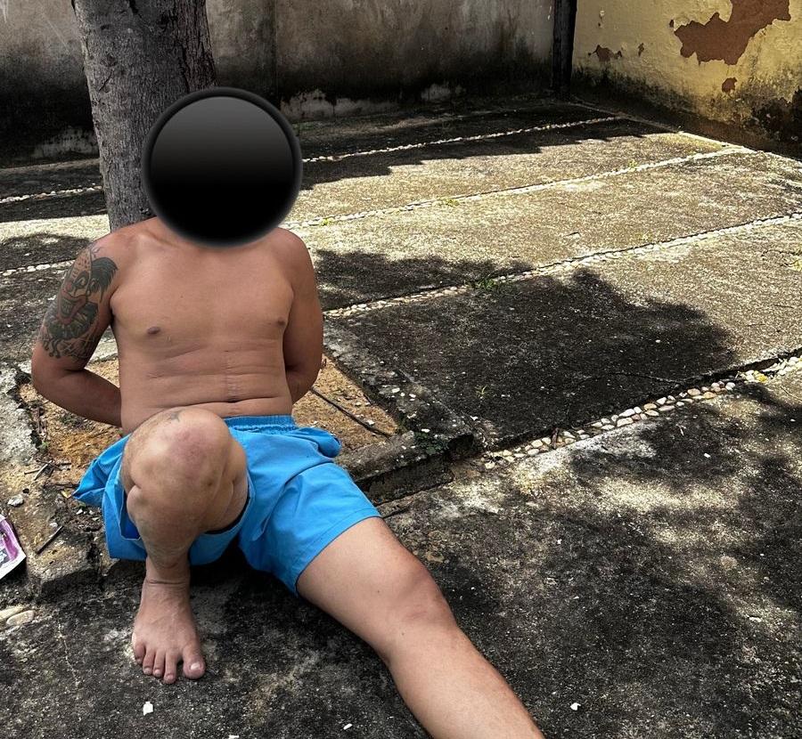 "Palhacim" é capturado em Parnaíba