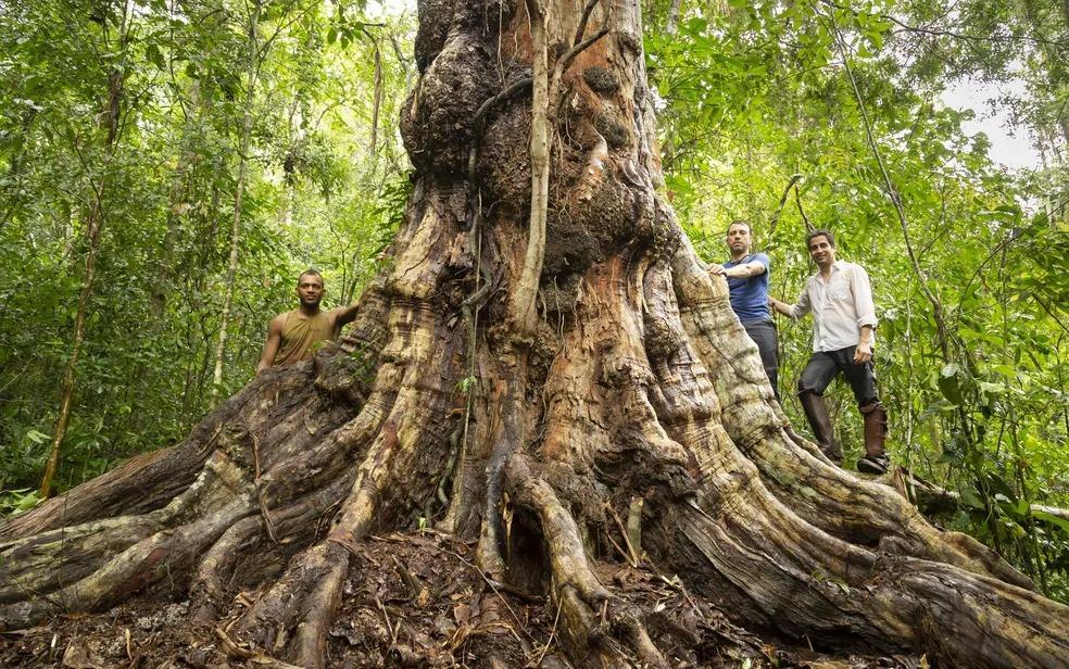 Cássio Vasconcellos/Arquivo pessoal