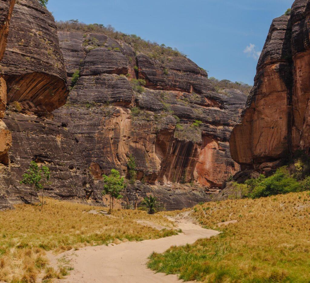 Biodiversidade nos biomas Caatinga, Pampa e Pantanal