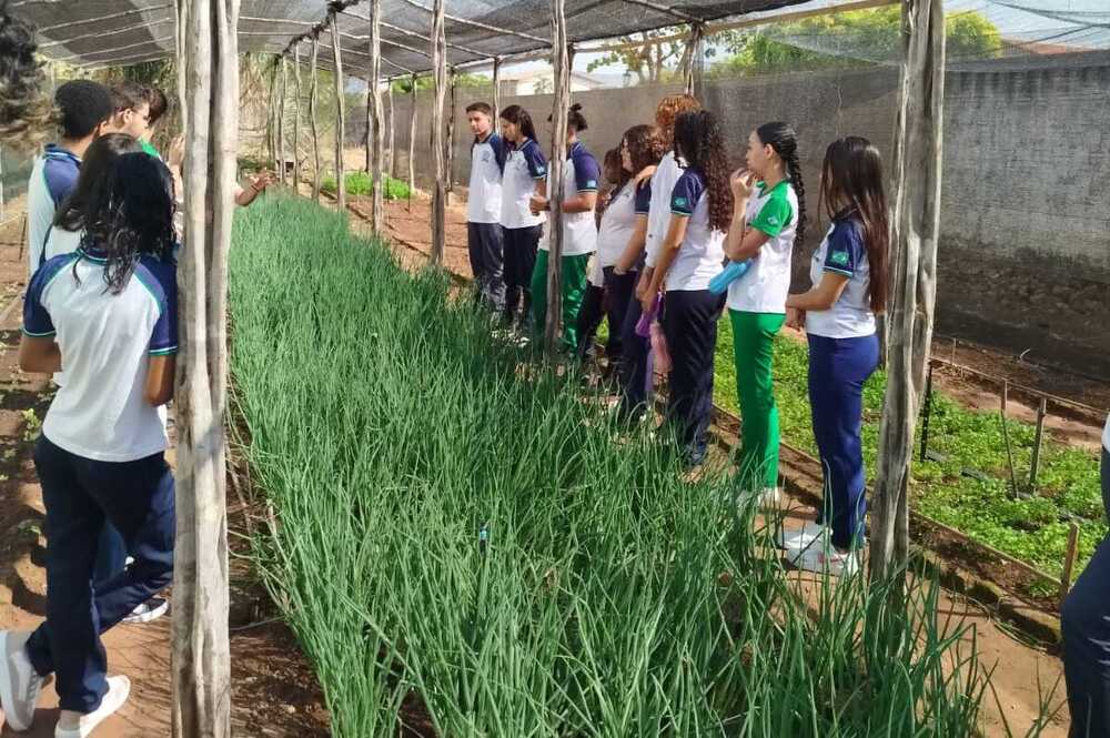 Lei vai promover conhecimento sobre cotidiano, saberes e experiências do produtor rural