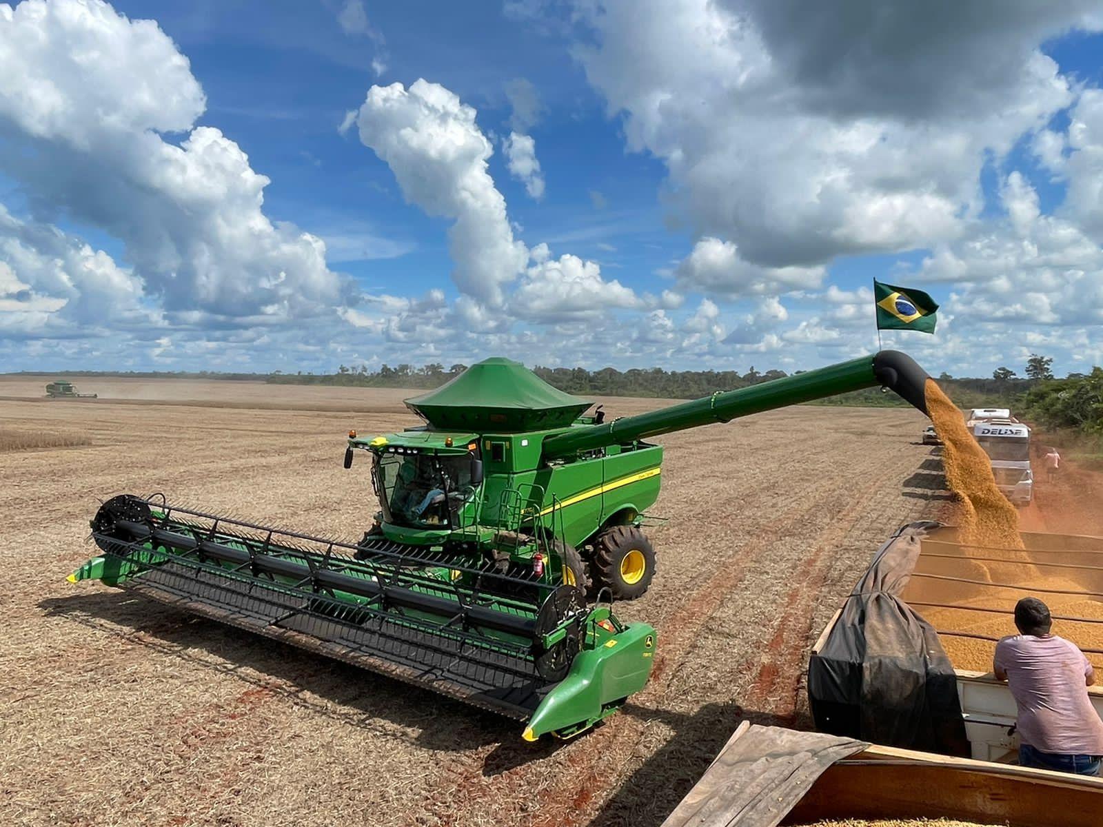 Produção agrícola no Sul do Piauí