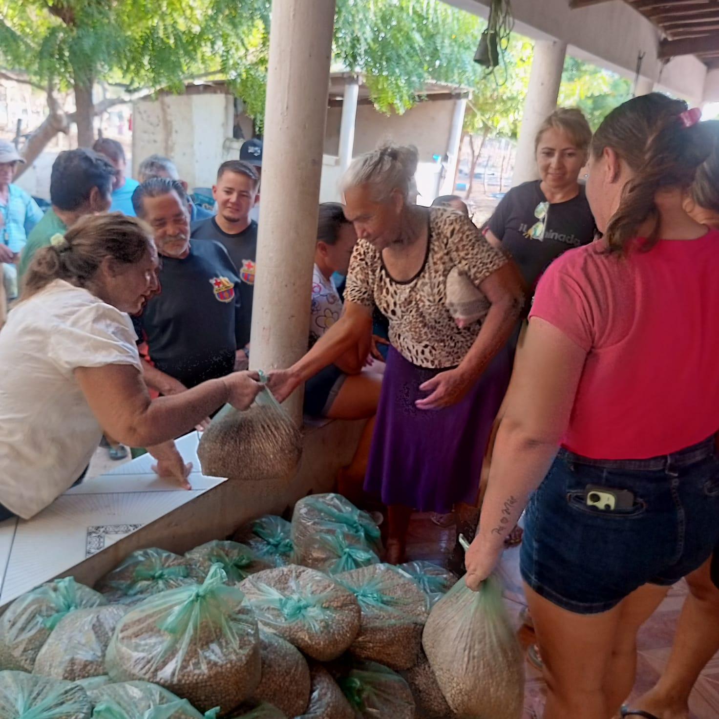 As sementes foram produzidas de forma orgânica por agricultores e agricultoras familiares do município de Assunção do Piauí