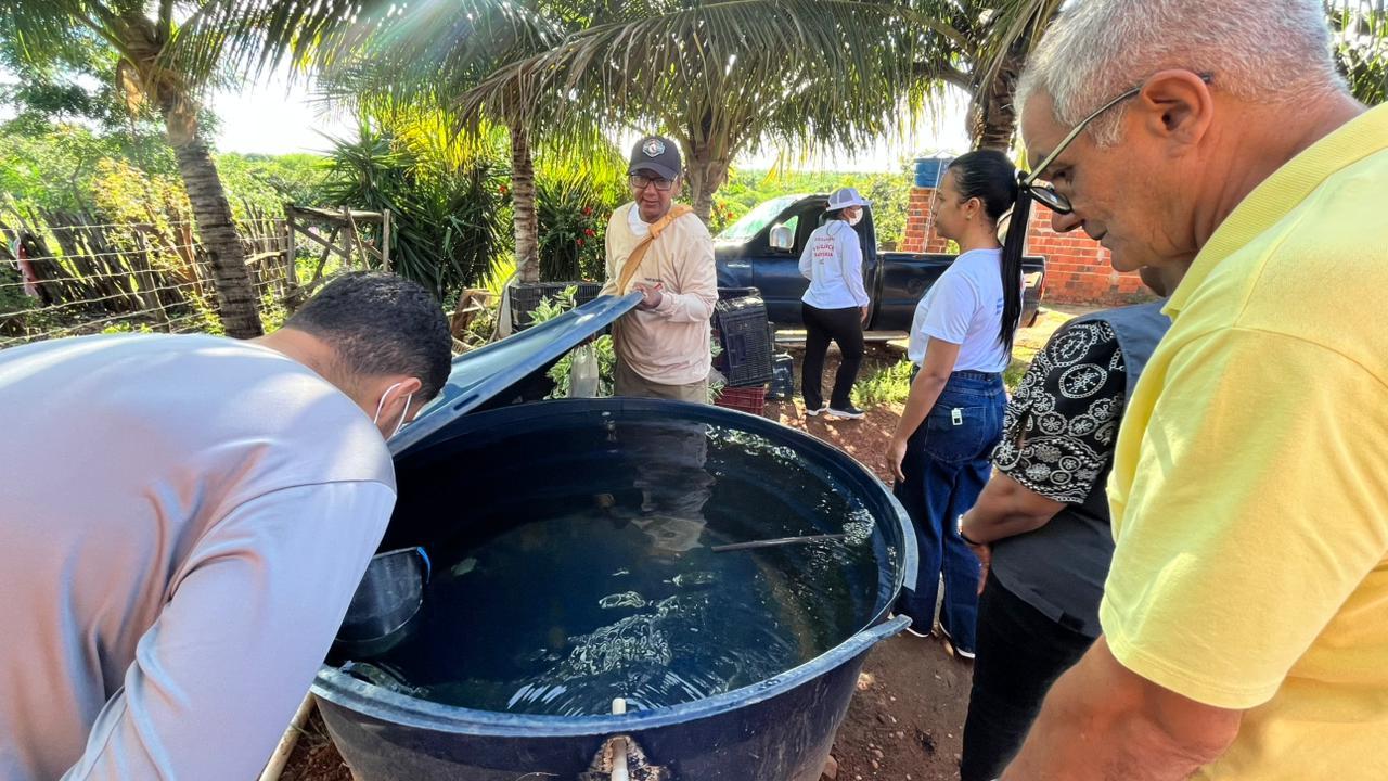 Com a chegada do período chuvoso, o risco de proliferação do mosquito aumenta