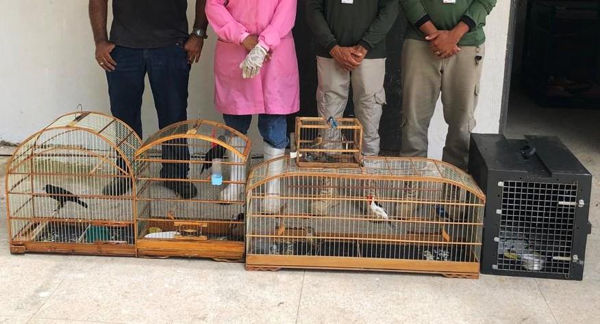 Macaco-prego e aves silvestres resgatados de cativeiro ilegal são levados ao CETAS para reabilitação no Piauí.